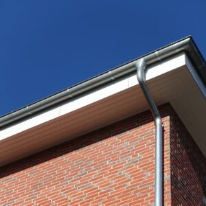 Guttering in Ely